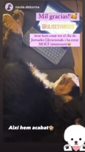 educacion canina online madrid