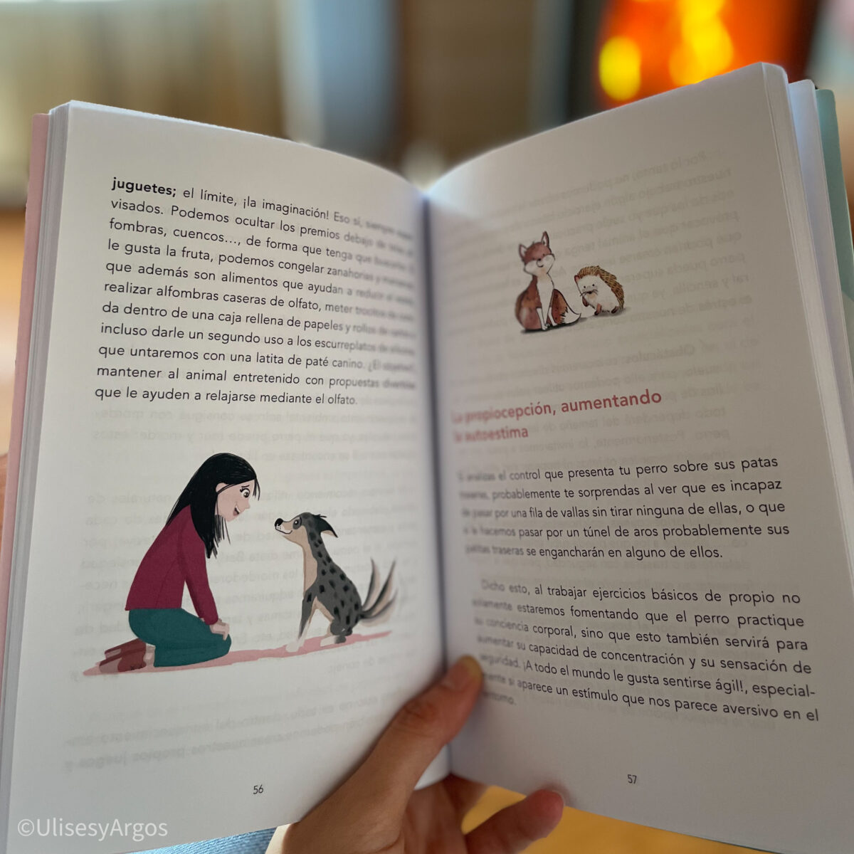 libro-educación-canina-positivo