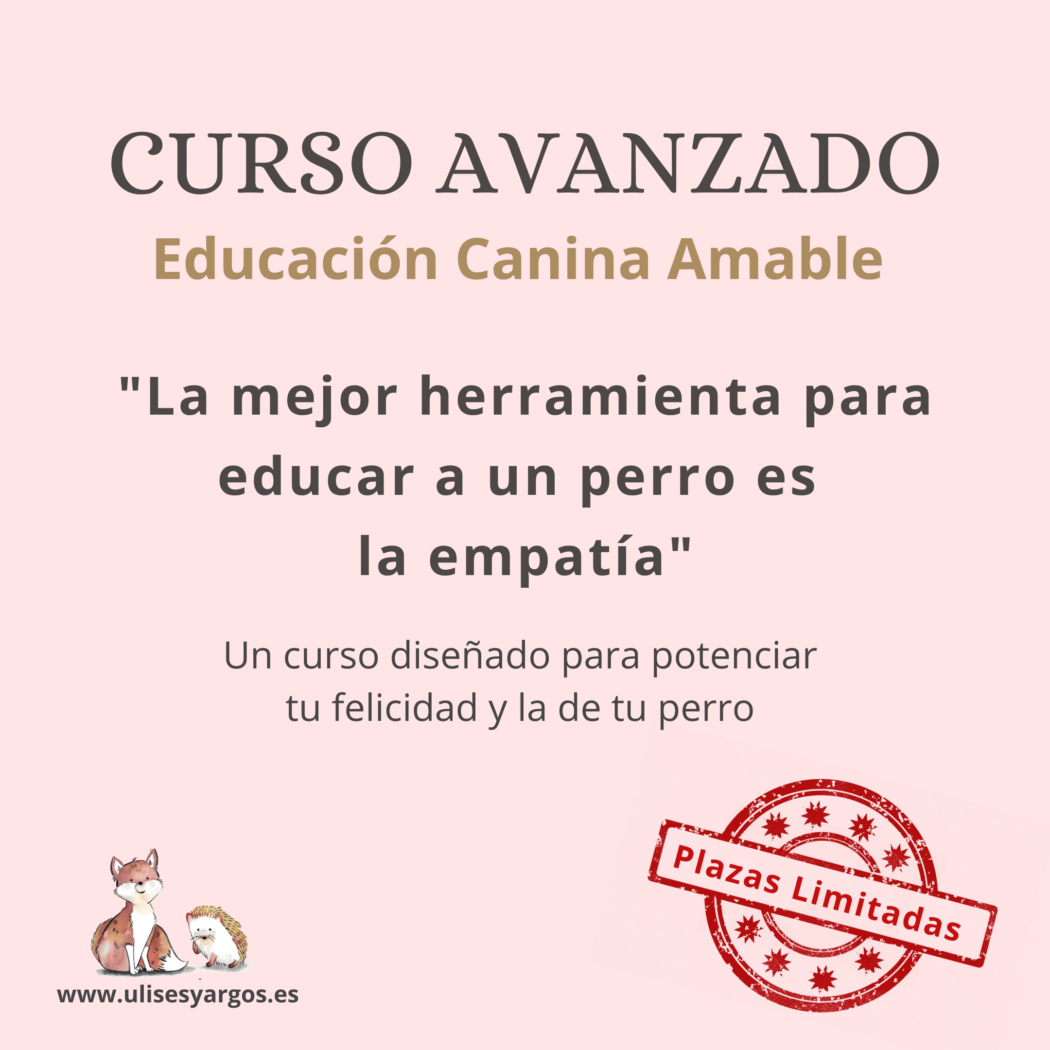 CURSO EDUCACION CANINA AMABLE EMPATICA