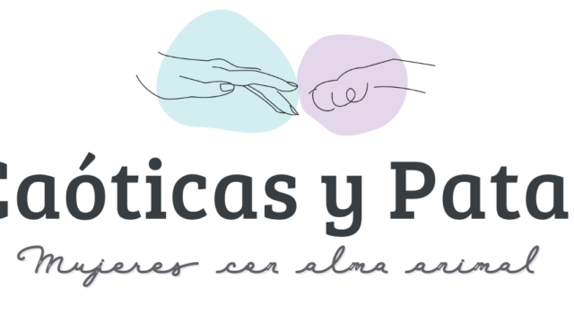 Captura de pantalla 2024-02-16 a las 10.56.04