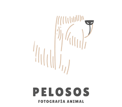 descarga (1)