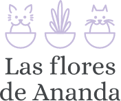 descarga (2)